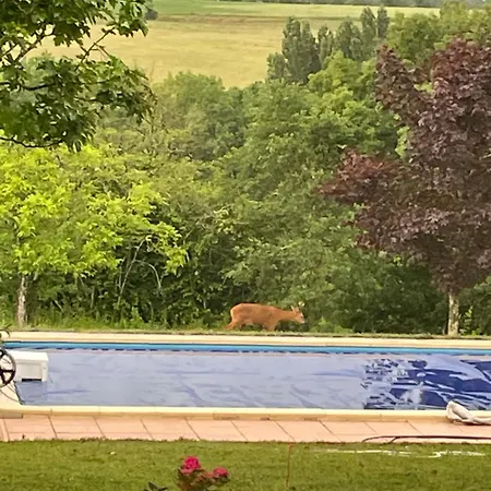Le Maine Verac Piscine Et Vue 度假居